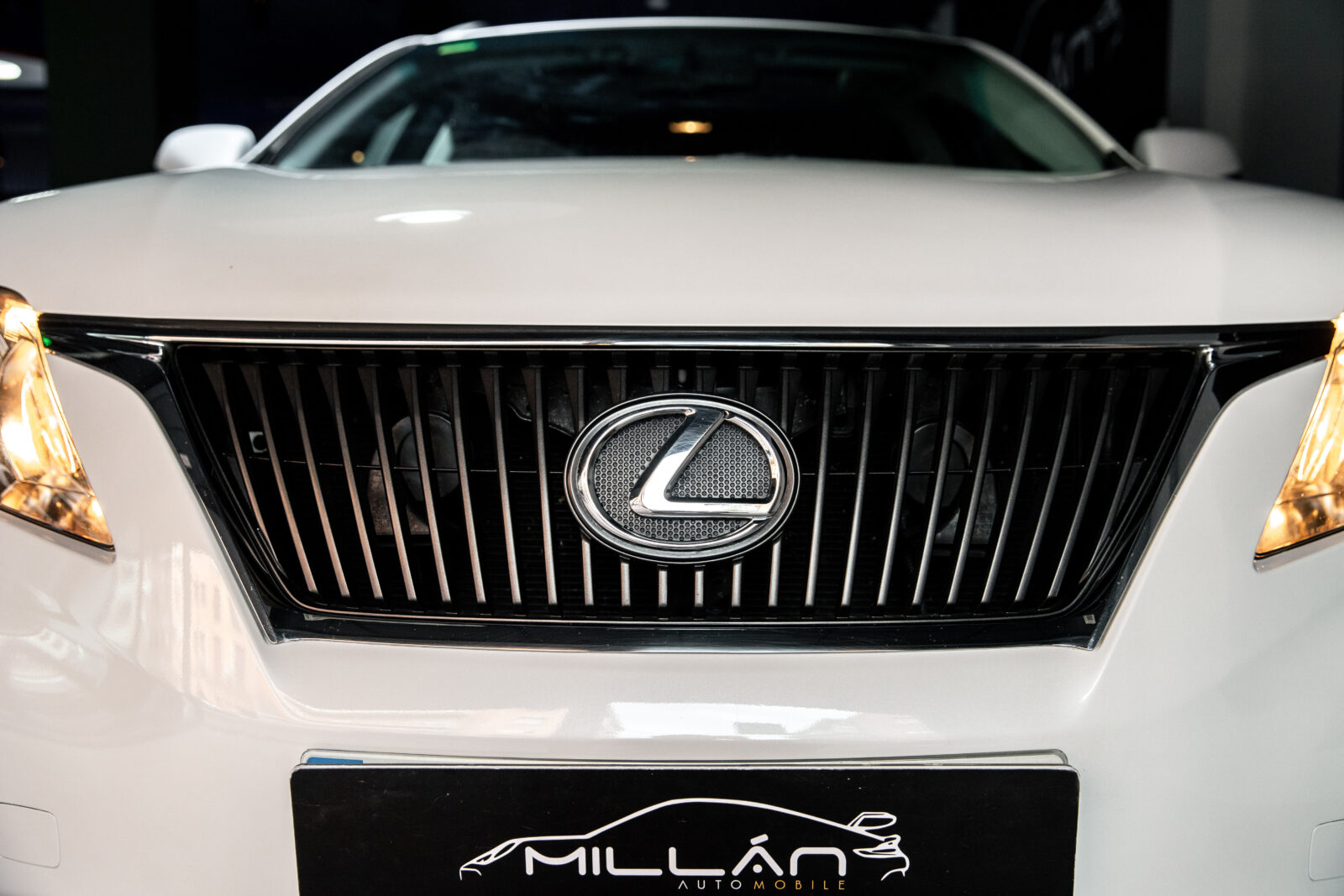 LEXUS RX 300